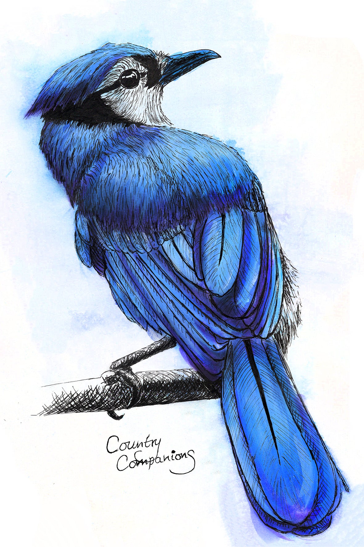 "Blue Bird" Cow Print