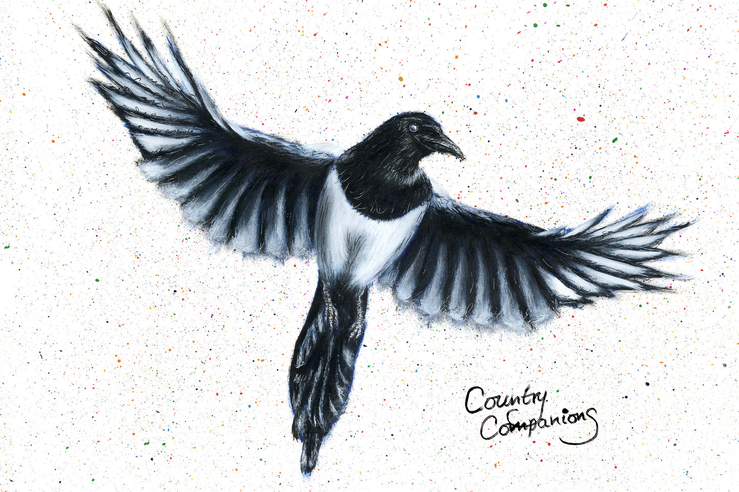 "Edge of Flight" Magpie Print