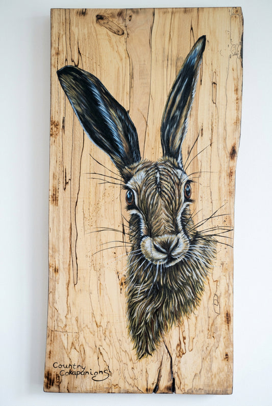 Cheeky hare