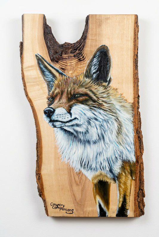 Sly Fox