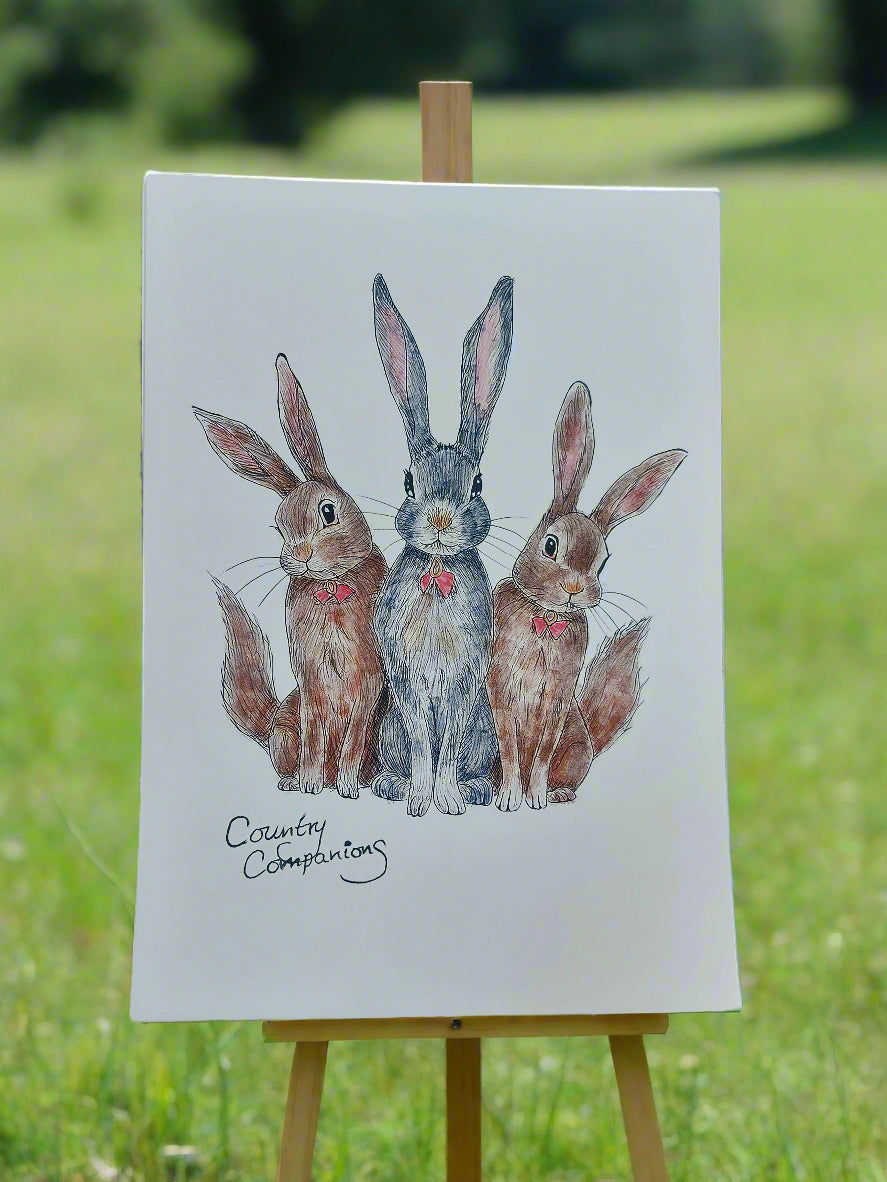 "Trio of Hare's"