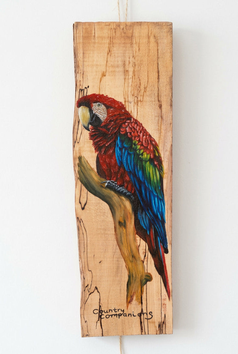 Polly
