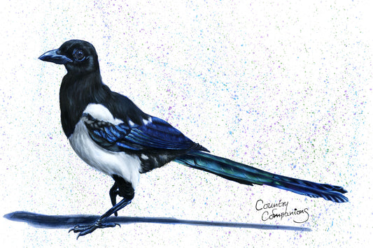 "Tyne’s Gem" Lion Print (Copy)